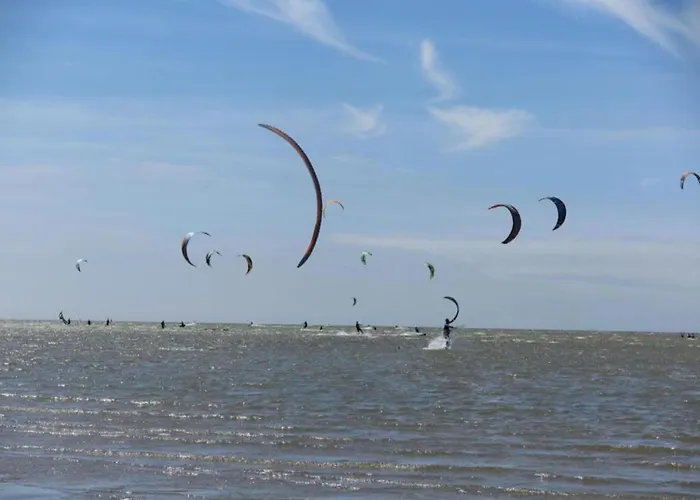 In South Holland By Stompaarde Plas Simonshaven