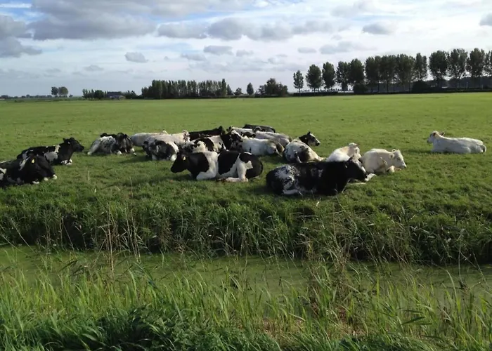 בית נופש In South Holland By Stompaarde Plas *