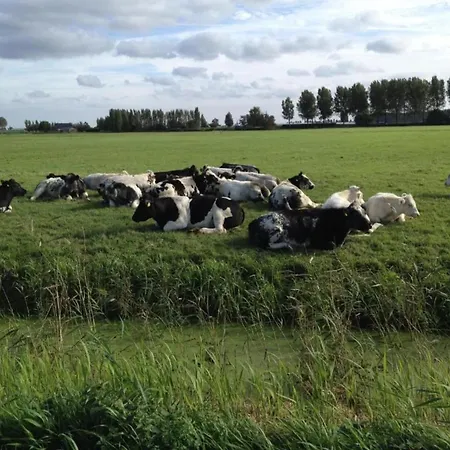 Nyaraló In South Holland By Stompaarde Plas *