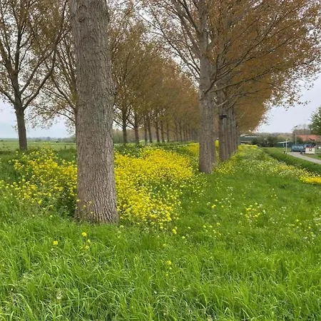 Nyaraló In South Holland By Stompaarde Plas